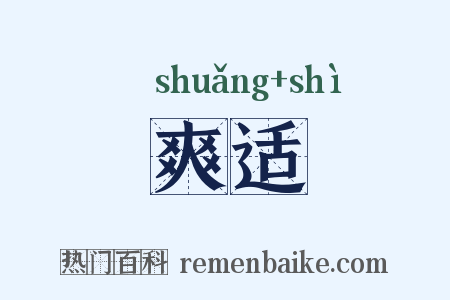 爽适是什么意思的图片